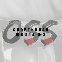 МБУ ДО "Спортивная школа №3" НМР РТ