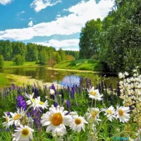 Отрадненский сельсовет