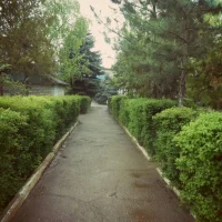 МДОУ ДС №20 "Алёнушка" г.Буденновск