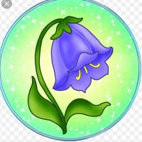 МДОУ " ДЕТСКИЙ САД N3 " КОЛОКОЛЬЧИК" р. п. Турки