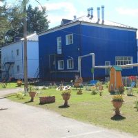 Муниципальное автономное дошкольное образовательное учреждение "Детский сад "Лучик"