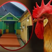 МКДОУ Шиткинский детский сад "Петушок"