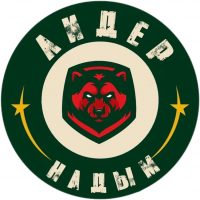 Спортивная школа "Лидер"