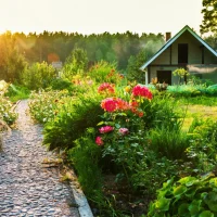 Любимая Дача. Сад и Огород