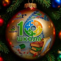 МАОУ "СОШ № 10", г. Череповец