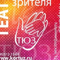 "ТЕАТР ЮНОГО ЗРИТЕЛЯ имени Н.Н. Ермаковой"