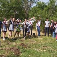 МБОУ Новоселовская школа