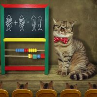 МБОУ "Кюпская агрошкола"