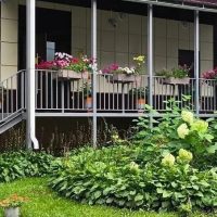 ГБУ РМЭ "Комплексный центр социального обслуживания населения в городе Йошкар-Оле"