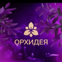 Орхидея - доставка свежих цветов в Твери