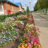 МКОУ Ханты-Мансийского района "ООШ им. бр. Петровых с. Реполово"