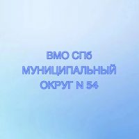 МУНИЦИПАЛЬНЫЙ СОВЕТ ВНУТРИГОРОДСКОГО МУНИЦИПАЛЬНОГО ОБРАЗОВАНИЯ ГОРОДА ФЕДЕРАЛЬНОГО ЗНАЧЕНИЯ САНКТ-ПЕТЕРБУРГА МУНИЦИПАЛЬНЫЙ ОКРУГ № 54