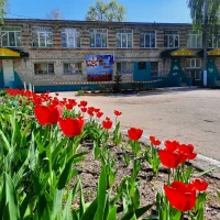 МБДОУ "Детский сад № 323" г.о. Самара