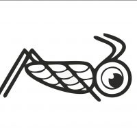 Cricket club/ Сверчки СПб