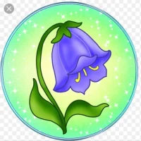 МБДОУ "Колокольчик" общеразвивающего вида" ЗМР РТ