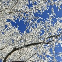 Алексеевская ООШ Чулымского района