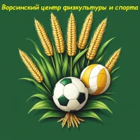 Ворсинский центр физкультуры и спорта