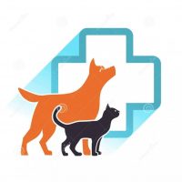 ГБУ «ВЕТУПРАВЛЕНИЕ УСПЕНСКОГО РАЙОНА»