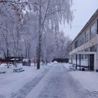 МБДОУ детский сад 17 г. Пензы