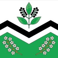 Администрация р. п. Мошково