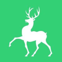 Муниципальное бюджетное учреждение дополнительного образования "Детский оздоровительно-образовательный центр "Соловьи"