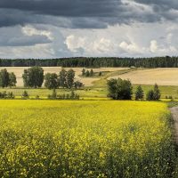 Сипавская сельская администрация