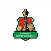 Школа по шахматам, шашкам, го им.Р.Г. Нежметдинова