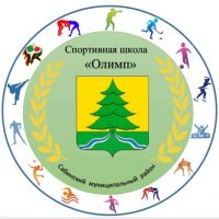 Муниципальное бюджетное учреждение дополнительного образования спортивная школа Олимп Сабинского муниципального района Республики Татарстан
