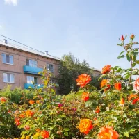 ГАУСО "Орский дом милосердия "Надежда"