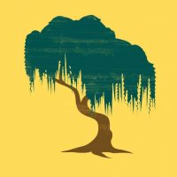 МБДОУ "БЕЙСКИЙ Д/С "ИВУШКА"