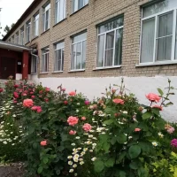 МКОУ Александровская СОШ, Россошанский муниципальный район, Воронежская область