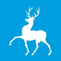 ГКОУ КШ 8 гогАрзамас