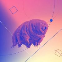 ТАСС / Наука