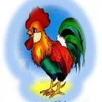 МБДОУ д/с № 49