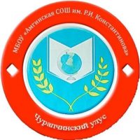 МБОУ «Амгинская СОШ им. Р.И. Константинова»