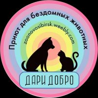 Спасение бездомных животных Дари добро Нск