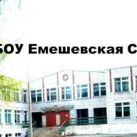 МБОУ Емешевская средняя общеобразовательная школа