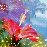 МДОАУ д/с № 10 г. Свободного