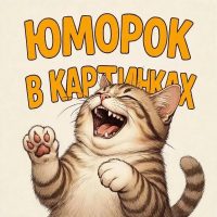Юморок в картинках