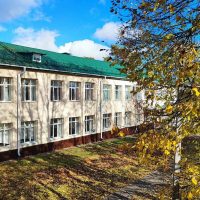 Школа №9 им. А.Е. Боровых г. Курска