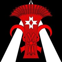 Местная администрация муниципального образования поселок Шушары