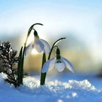 МКДОУ детский сад "Подснежник" пгт Подосиновец Кировской области