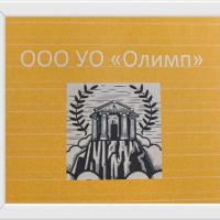 ОЛИМП Управляющая компания