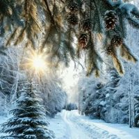 МДОУ №5 "ВИШЕНКА"