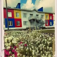 МАДОУ "Детский сад № 12" г. Стерлитамак РБ