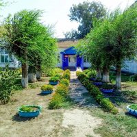 МКОУ "Салтовская СШ"