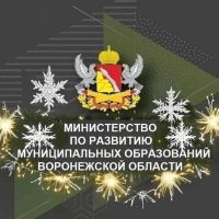 Министерство по развитию муниципальных образований Воронежской области
