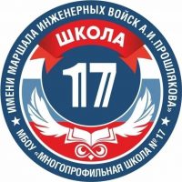 МБОУ "Многопрофильная школа № 17"