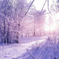 МОУ СОШ с.Сохондо