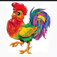 МБДОУ 15 "Петушок"